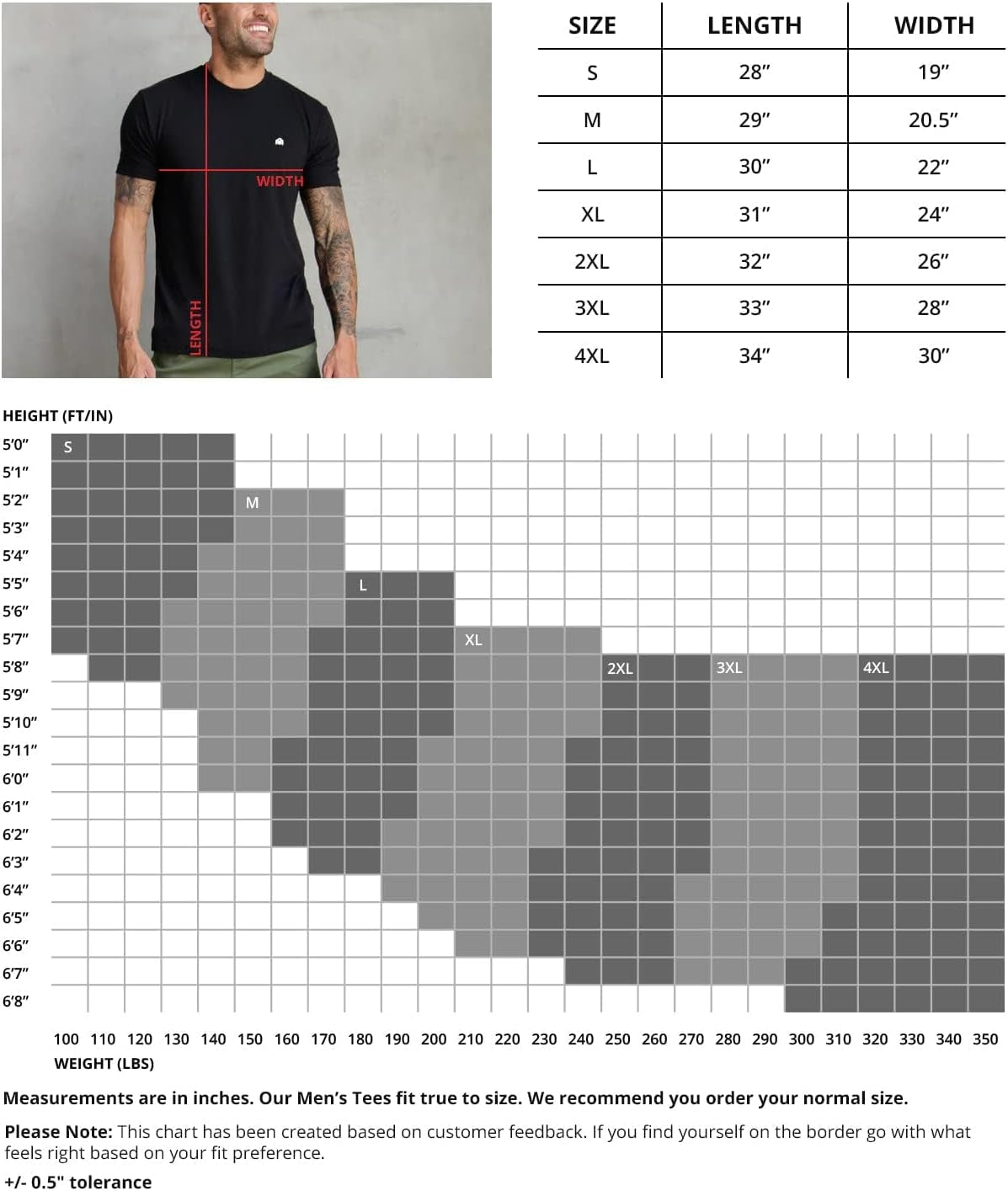 INTO the AM Mens T Shirt Packs - Short Sleeve Crew Neck Soft Fitted Tees S - 4XL Fresh Classic Tshirts